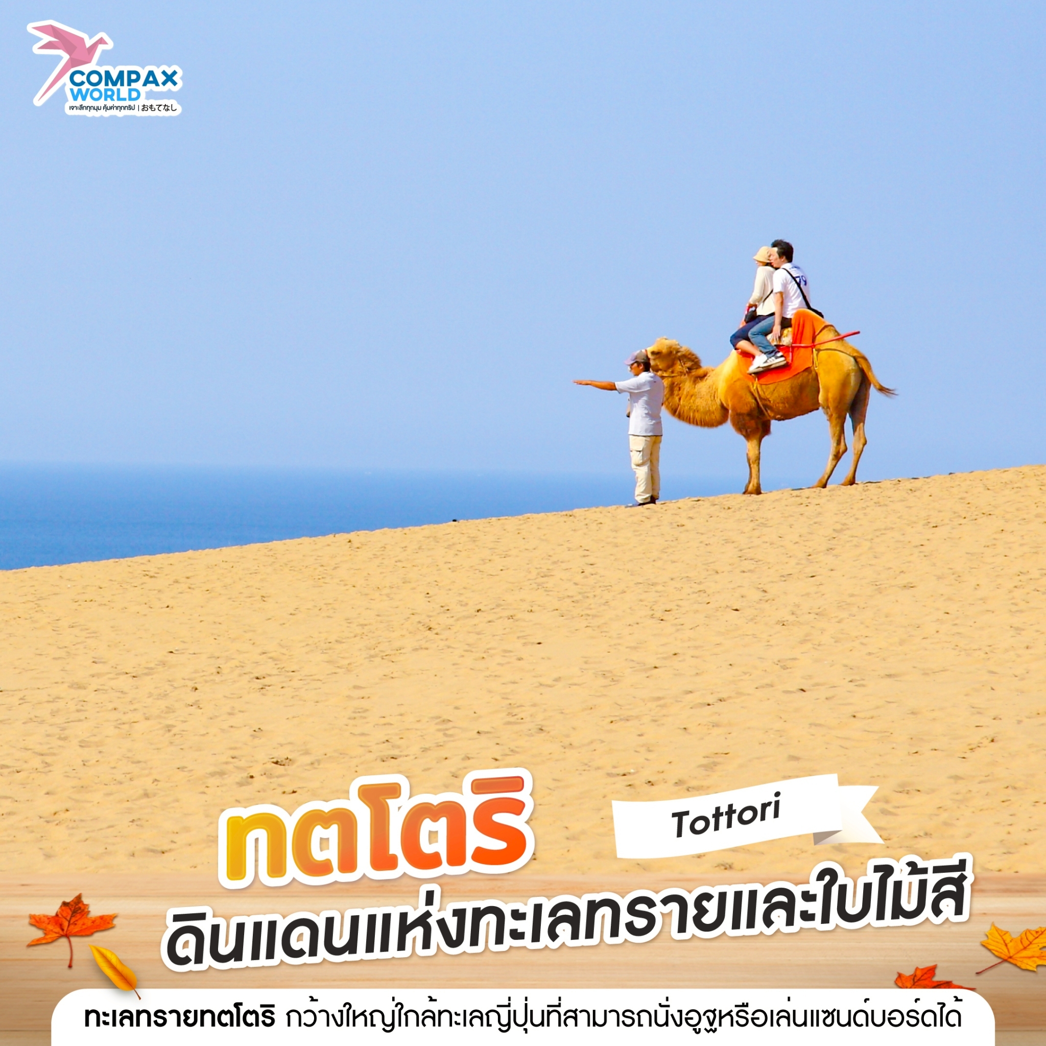 compaxworld ทัวร์ญี่ปุ่นพรีเมี่ยม โปรแกรมเที่ยวญี่ปุ่น